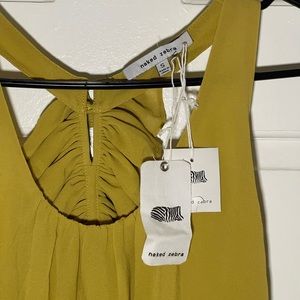 Naked Zebra - small - NEW